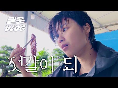 이걸 먹어야 제주 사람...? | 아까 본 자리돔이 젓갈이 되 [제주 다이빙 VLOG]