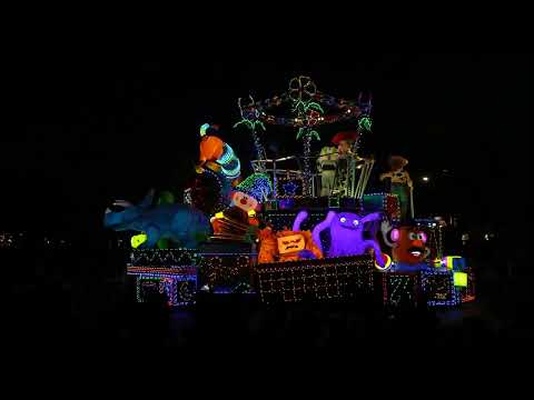 Tokyo Disneyland Electrical Parade Dreamlights　2024/4