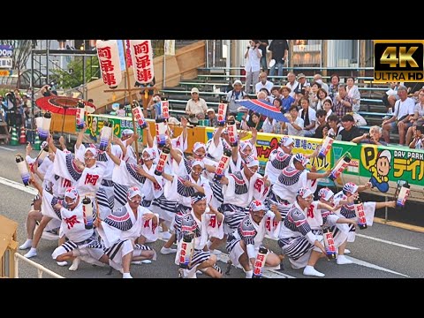 ★The best moment★Awa Odori in Tokushima City, Japan, which has continued for 400 years