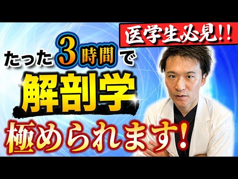 【もっと早く知りたかった!!】書いて覚えるよりも超効率的!!解剖学の暗記法を、医師講師が解説します！