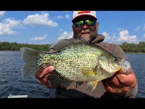 Slab Crappies: NEW Tungsten Crappie King Jigs