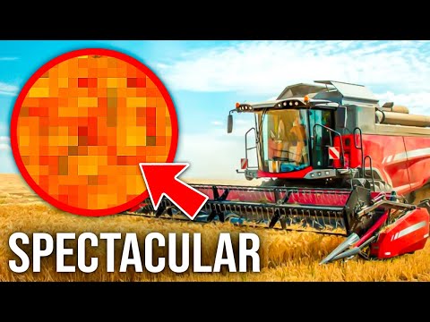 10 EXTRAORDINARY Moments When Farmers Harvest Agricultural Products