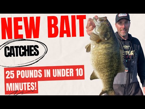 This amazing bait catches fish!  25 pounds in under 10 minutes!