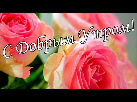 С ДОБРЫМ УТРОМ 11 Января!🌼Желаю Самого Доброго Солнечного Утра!🌼  Шикарная Музыкальная открытка 🌼