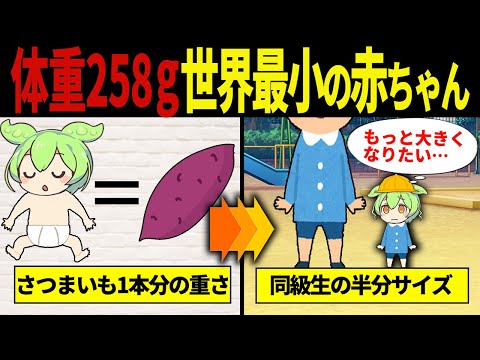 【実話】世界一小さく産まれたずんだもんの末路【ずんだもん&ゆっくり解説】