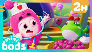 Newt's Froggy Day Care 🐸 | 🌈 Minibods 🌈 | Preschool Cartoons for Toddlers