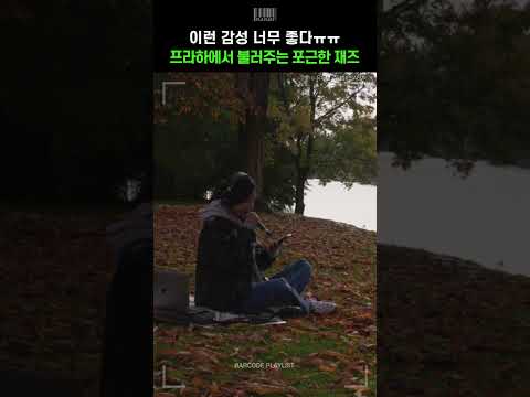 프라하에서 불러주는 포근한 재즈💗 이런 감성 너무 좋다😭 [잎샘 (IPSAEM) - The Girl From Ipanema (cover)]