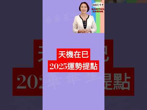 #天機在己 #2025運勢提點【2025乙巳年天運啟示錄暨流年命宮在巳12組命盤運】 #2025流年運勢 #2025流年四化 #2025 #2025紫微流年運勢 #chinese astrology