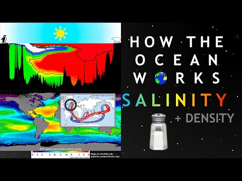 How The Ocean Works | Salinity