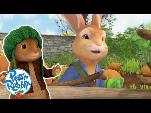 @OfficialPeterRabbit  - 💨🏃🎃 The Pumpkin Chase! 🎃🏃💨 | Cartoons for Kids