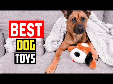 ✅Top 5 Best Dog Toys With a Heartbeat To Soothe an Anxious Pup