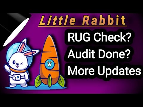 NEW CRYPTOCURRENCY | LITTLE RABBIT UPDATES | HUGE CATALYSTS COMING SOON [SCAM CHECK]