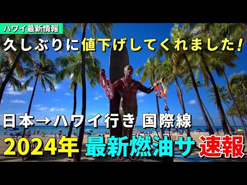 安くなります！2024年はハワイ旅行が行きやすくなるのか？【ハワイ最新情報】【ハワイの今】【ハワイ旅行2023】【HAWAII】