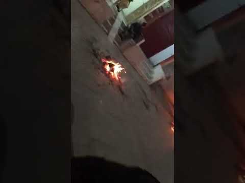 Happy Lohri #viral #trending #shorts #short