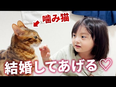 未来の旦那候補は噛みつき兄猫？ずっと一緒にいる猫たちラブな5歳娘のリアルな日常