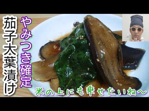 やみつき確定！なすの美味しい食べ方上位！【茄子大葉漬け】