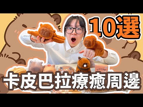 【10選】卡皮巴拉療癒小物[NyoNyoTV妞妞TV]