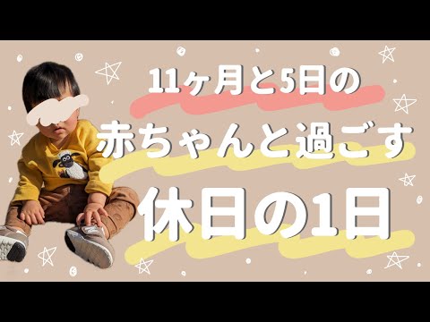 【生後11ヶ月】赤ちゃんと過ごす休日の1日/離乳食後期/愛犬と赤ちゃん