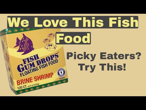 San Francisco Bay Brand Brine Shrimp Gumdrop Fish Food - Feeding Selective Fish That Will Not Eat