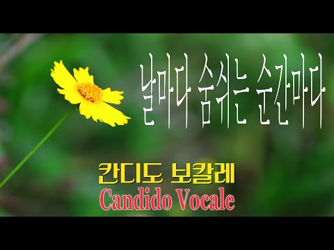 날마다 숨쉬는 순간마다 Day by Day / 칸디도 보칼레 / Oscar Ahnfelt / SATB 앙상블