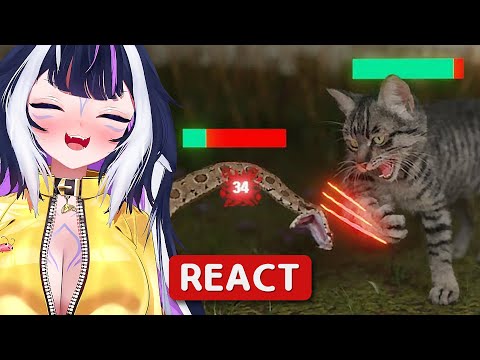 Shylily Reacts to How Cats Broke The Game | TierZoo