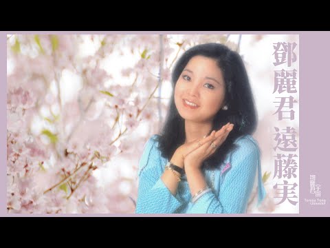 鄧麗君與遠藤実作品1968-1985｜テレサ・テン｜Teresa Teng｜