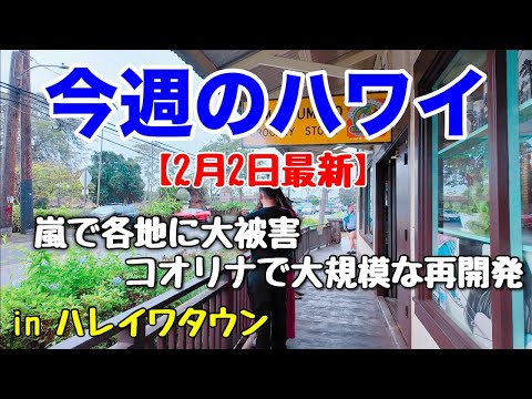 【今週のハワイ★２月２日最新版】１週間のハワイ情報をまとめてお届け♪これを見ればハワイの今がわかる！！