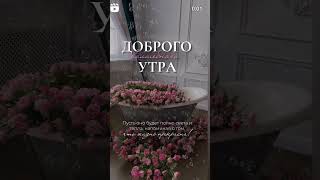 Доброе утро❣️🌸 отправь кому желаешь #доброеутро #доброгоутра