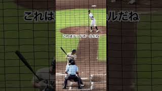 しっかり避けてる #高校野球 #東洋大姫路 #龍谷大平安