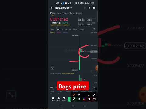 dogs price #shortvideos #shorts #dogs