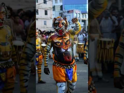 Pullikali Festival in Thrissur | Onam | Kerala's Iconic Tiger Dance