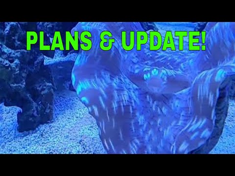 Update on The Tank Crash