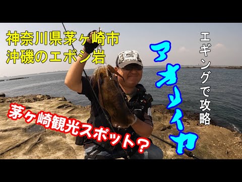 【アオリイカ】湘南沖磯のエボシ岩釣行を振り返ってみると見えて来たこと