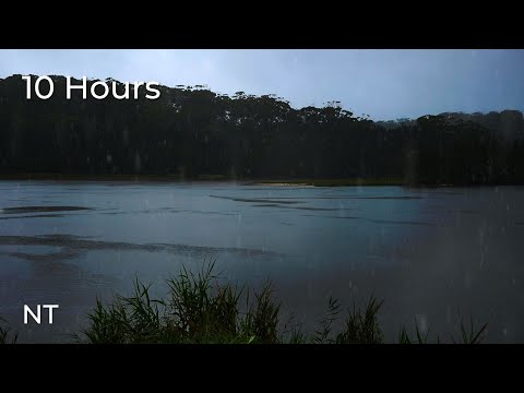 Rainy Day at Lake | Relaxing Rain Sounds Falling on Water | Fall Asleep FAST & Easy:  Beat Insomnia