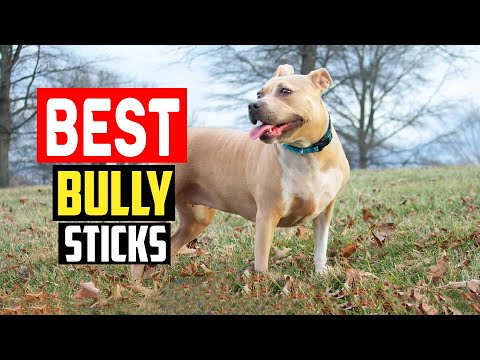 ✅Top 5 Best Bully Sticks in 2025