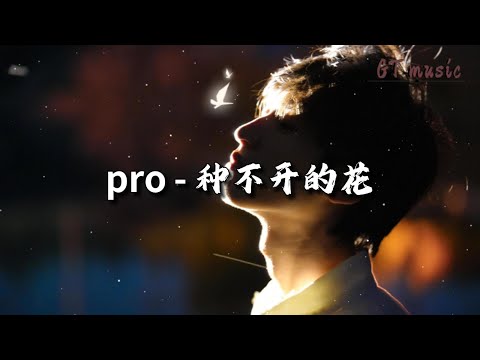 pro - 种不开的花『就让我们 拥抱 转身 离开，放下这太 沉重 疲惫 的爱。』【动态歌词MV】