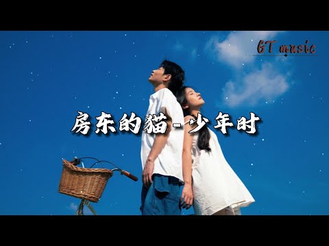 房东的猫 - 少年时『多想轻抚你的脸，你眼泪落在我指尖。』【动态歌词MV】