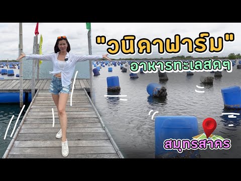 วนิดาฟาร์ม อาหารทะเลสดๆ | สมุทรสาคร | Ying’s Lively