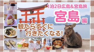 [Miyajima] Highly recommended gourmet food tour!Itsukushima Shrine⛩️