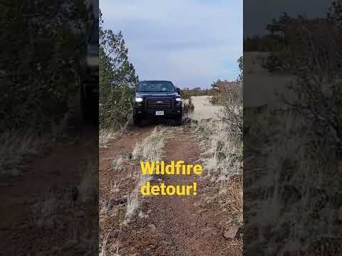 Impromptu "Jeep Tour"