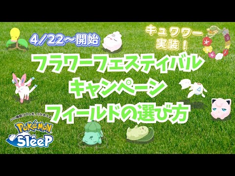 【ポケモンスリープ】 無課金向けフラワーフェスティバルキャンペーンおすすめフィールドランキング