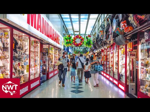 Nakano Broadway, The Mecca For Otaku In Tokyo 4K