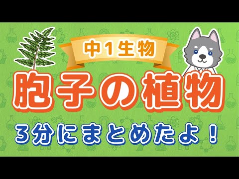 中1理科『胞子で増える植物』