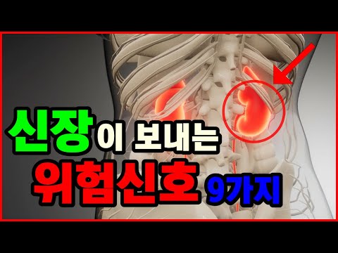 신장이 않좋으면 반드시 나타나는 위험신호 증상