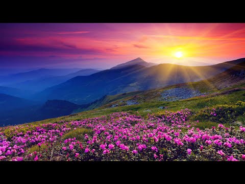 Morning Meditation Music to Start Your Day with Positive Vibes | #morningmeditation #meditationmusic