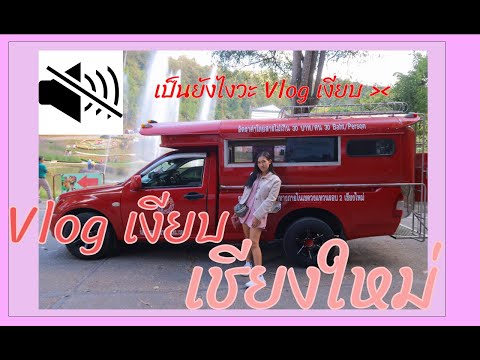 EP.4 Vlog เงียบ เชียงใหม่ - ม่อนแจ่ม [ MomTuk ]