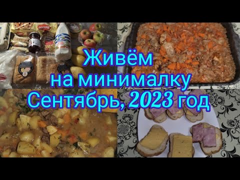 Живём на минималку. Сентябрь, 2023 год . Меню на 2 дня, обзор покупок