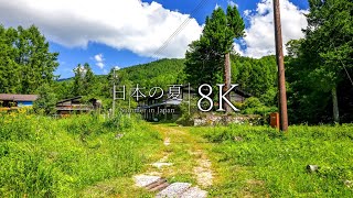 [I miss summer] 12 nostalgic rural landscapes - Japan in 8K