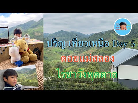 Day5 ดอยแม่สลอง เชียงราย ที่พัก ไร่ชาวังพุดตาล