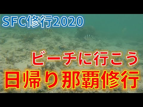 沖縄日帰り ＳＦＣ修行でビーチ、沖縄料理でプライベートバカンスを堪能（ＡＮＡ　上級会員への道）